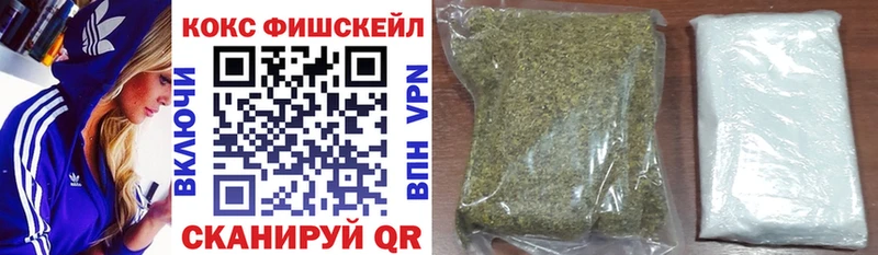 магазин продажи наркотиков  Кизилюрт  КОКАИН Эквадор 