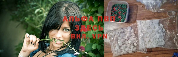 дурь Карпинск
