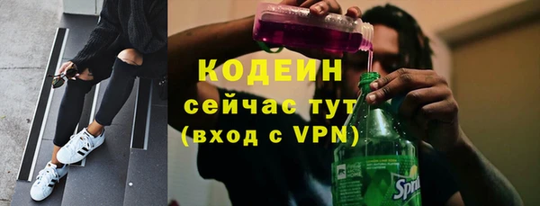 дурь Карпинск