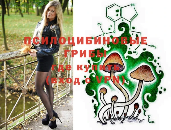 винт Каменка