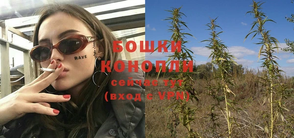 ГАЛЛЮЦИНОГЕННЫЕ ГРИБЫ Киренск