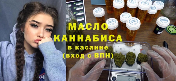 винт Каменка