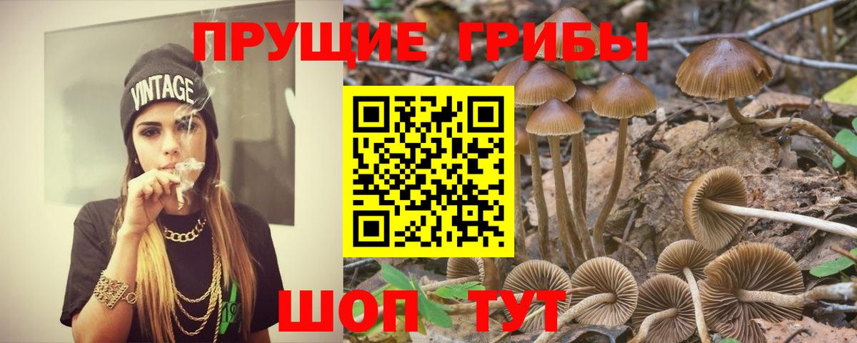 Псилоцибиновые грибы прущие грибы Кизилюрт